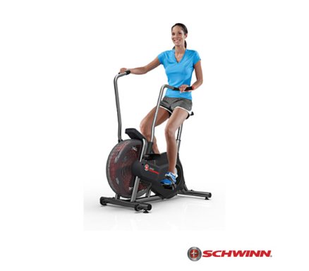 schwinn airdyne pentru pierderea în greutate