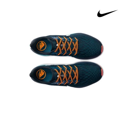 nike air zoom pegasus 46
